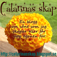 Catarina Skap
