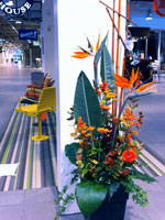 Kreativt Bord